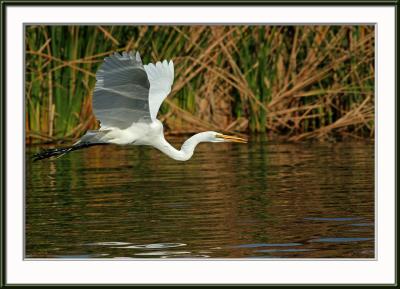 IMG_2316ps-web.jpg