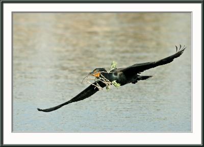 IMG_2469psweb.jpg
