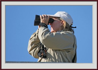 IMG_6076psf.jpg