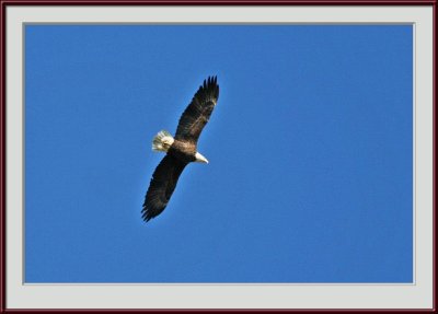 IMG_6194psf.jpg
