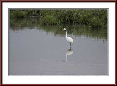 IMG_7375psf.jpg