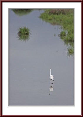 IMG_738psf.jpg