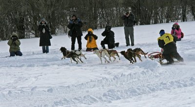 Dog Sled 11.jpg