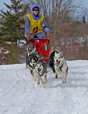 Dog Sled 12.jpg