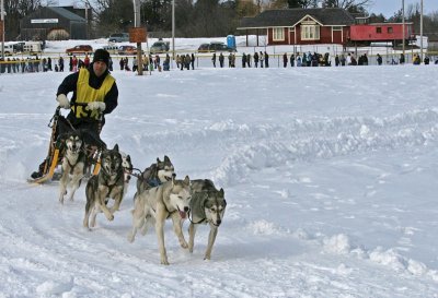 Dog Sled 13.jpg