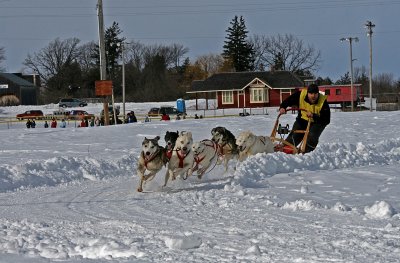 Dog Sled 16.jpg