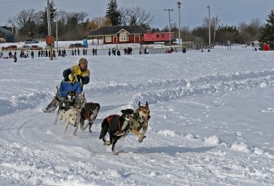 Dog Sled 18.jpg
