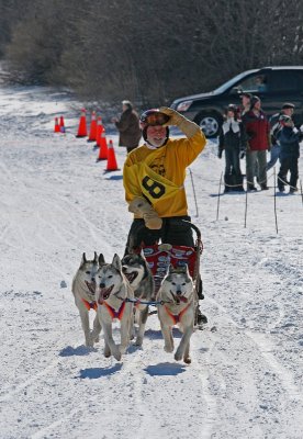Dog Sled 42.jpg