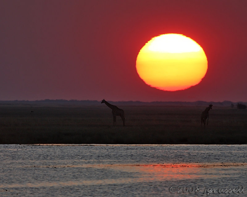 Sunset at Chobe River