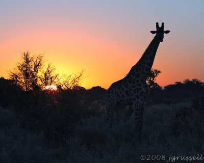 Sunset at Savute 2