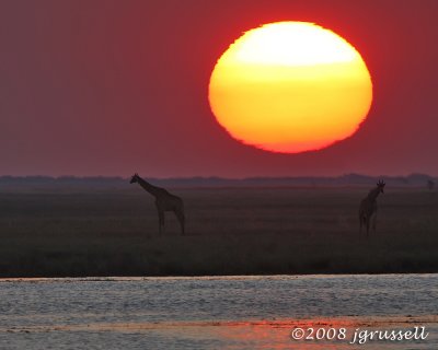 Sunset at the Chobe River 1