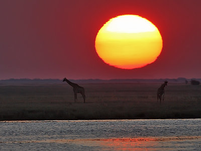 Sunset at Chobe River 2