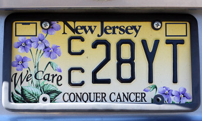 NJ CC plate