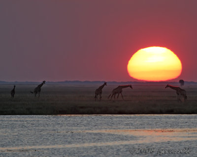 Sunset at the Chobe River 2b