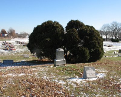 Looking East (grave by bushes)