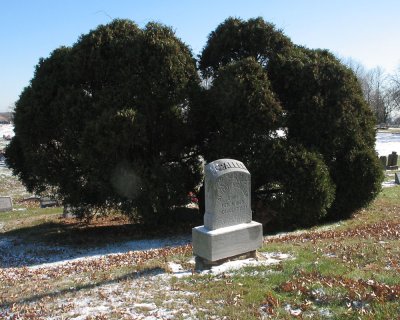 McCallen Grave