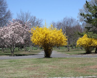From rear of Section Abraham