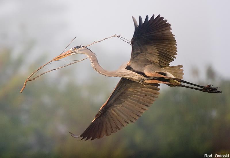 GBH In flight