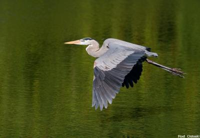 GBH In flight