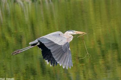 GBH In flight