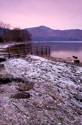 Derwent Frost