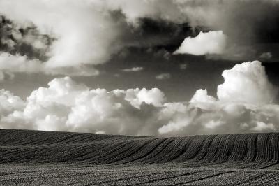 Crops and Clouds