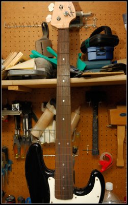 Look Ma, no frets!