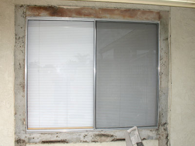 Window Replacement Project