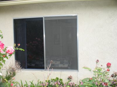 Window Replacement Project