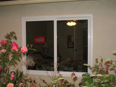 Window Replacement Project