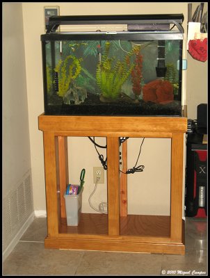 Stand in place and tank cleaned