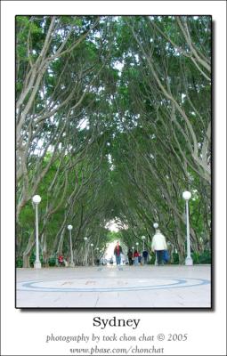 Hyde Park