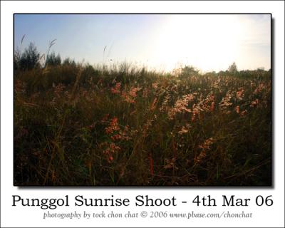 Punggol Sunrise Shoot 16