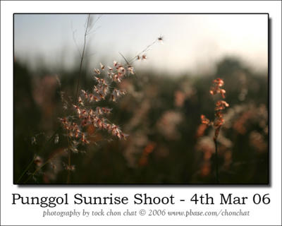 Punggol Sunrise Shoot 17