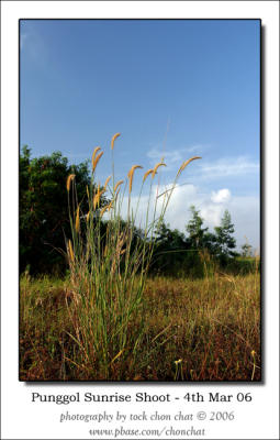 Punggol Sunrise Shoot 23