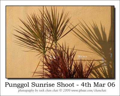 Punggol Sunrise Shoot 27