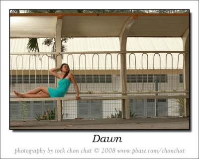 Dawn 28