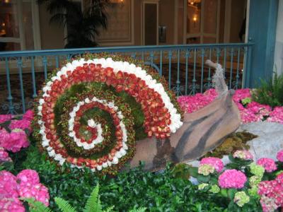 flower snail