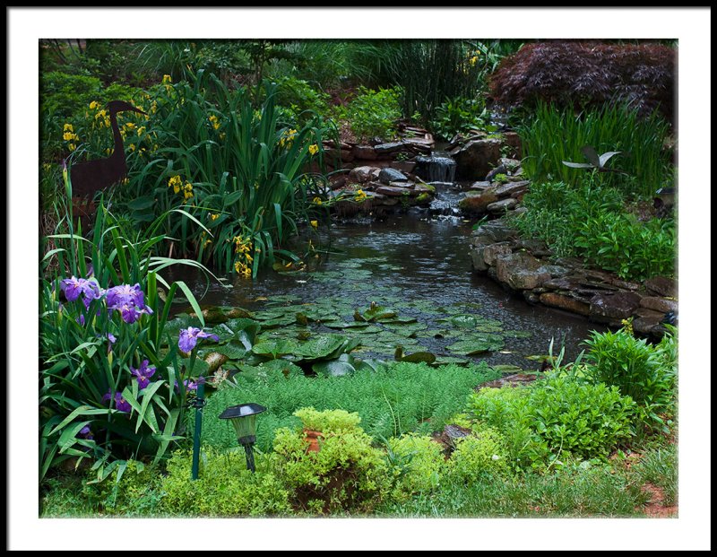 Rainy Day Pond