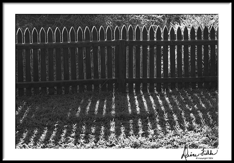 Iced Fence with Shadows