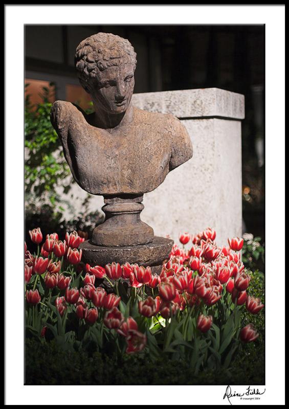 Bust with Tulips