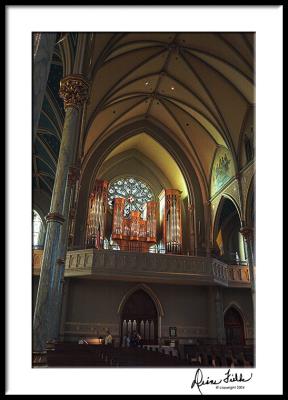 4590 cathedral organ copy.jpg