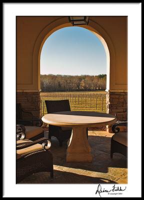 Vineyards from Terrace