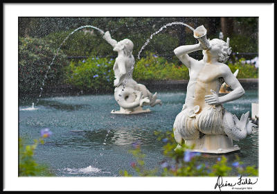 Fountain Fantasy