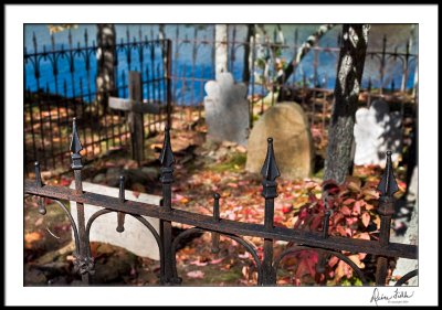 Pet Cemetery/Hart's Square