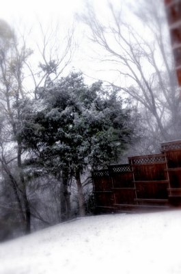 snow.jpg