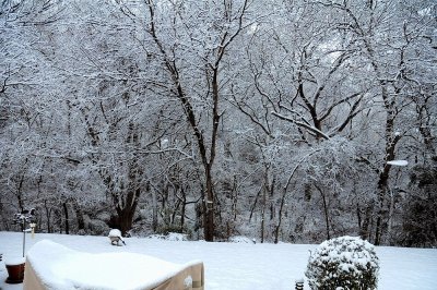 snow3.jpg