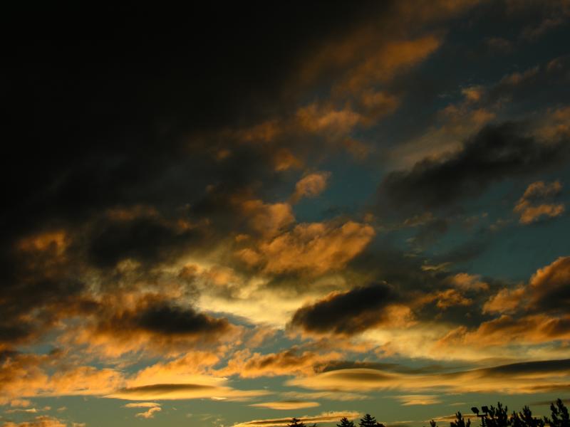 DSCN9845.JPG