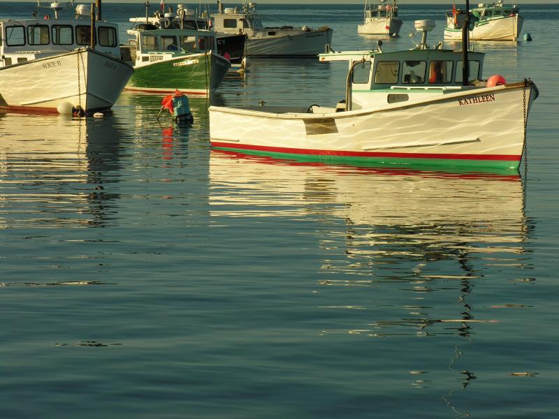 DANCING ON THE WATER... safe at harbor... ps see Yolanda Fusco gallery and Monhegan gallery