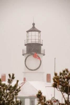 32DSC01979.jpg46 snowing today, portland head light , the queen